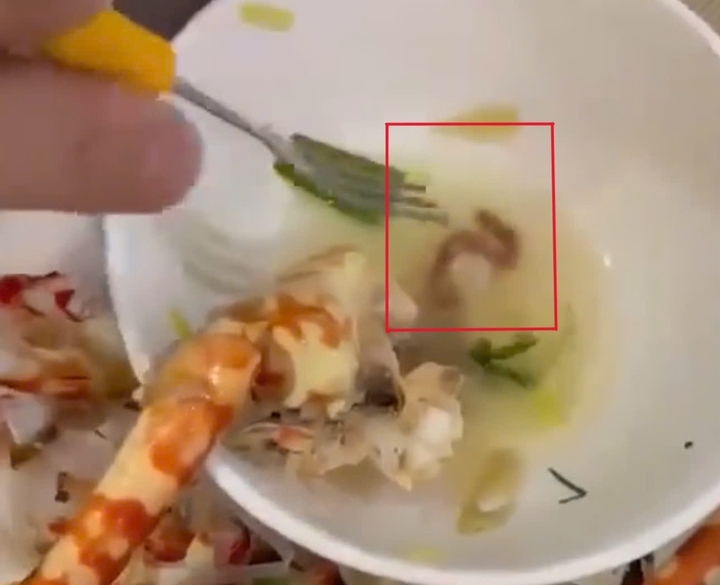 Xử phạt nhà hàng tại Quy Nhơn bị thực khách phát hiện có gián trong món ăn - Ảnh 3. Xử phạt nhà hàng tại Quy Nhơn bị thực khách phát hiện có gián trong món ăn - Ảnh 3.