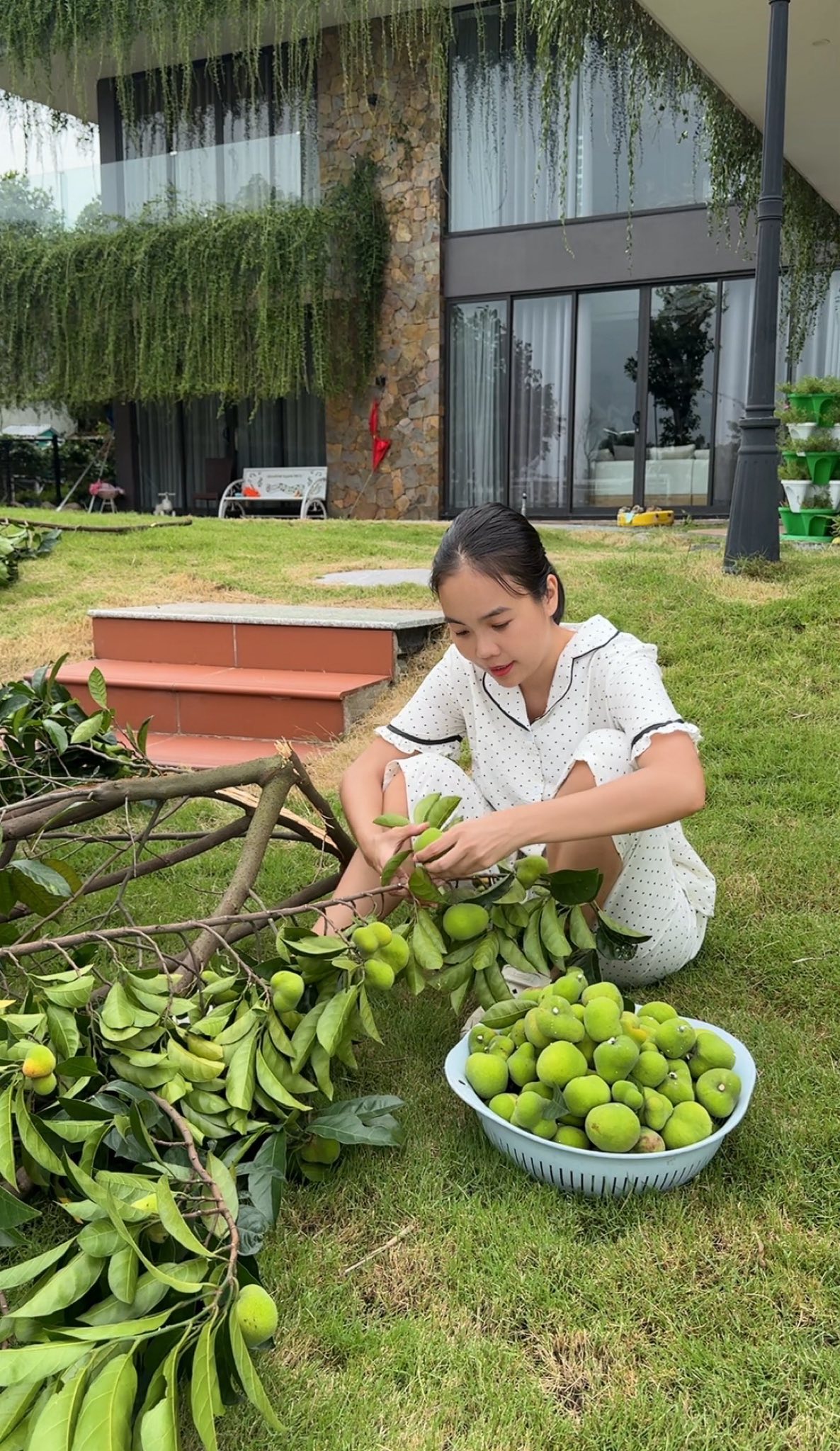 30 phút trở tay không kịp, chủ 30 phút trở tay không kịp, chủ