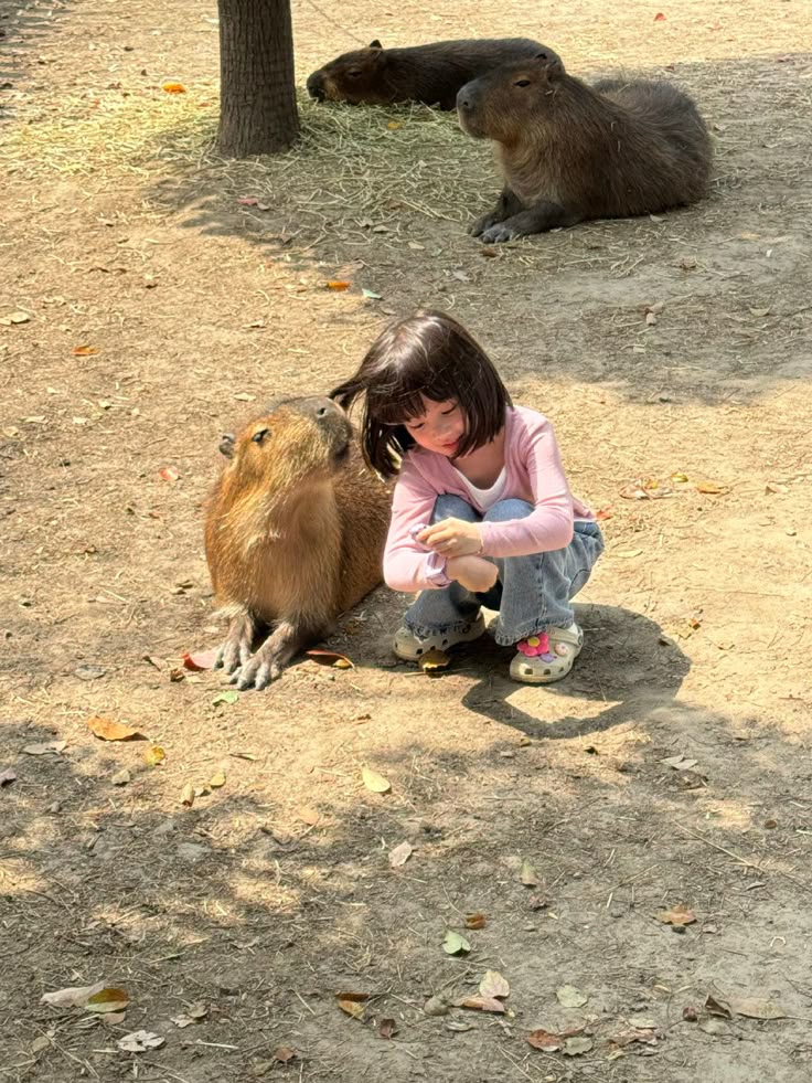 Cho trẻ xê dịch sớm: Không chỉ là chuyện "du lịch đổi gió" mà còn là cách giúp con phát triển cả IQ lẫn EQ- Ảnh 1. Cho trẻ xê dịch sớm: Không chỉ là chuyện "du lịch đổi gió" mà còn là cách giúp con phát triển cả IQ lẫn EQ- Ảnh 1.