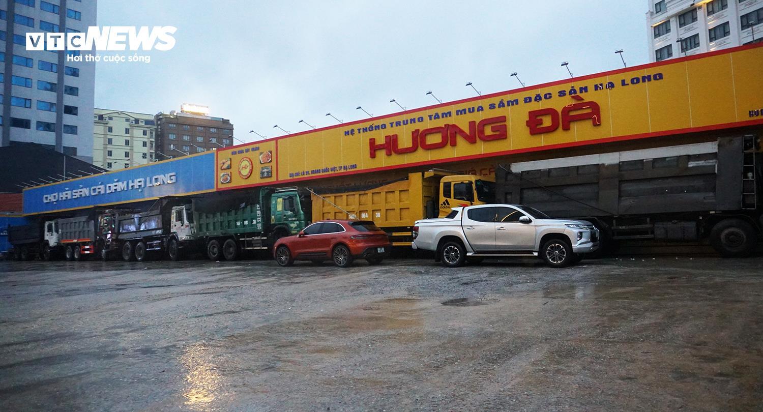 Người dân Quảng Ninh thuê dàn container, xe tải chặn trước cửa ứng phó bão Wipha - Ảnh 4. Người dân Quảng Ninh thuê dàn container, xe tải chặn trước cửa ứng phó bão Wipha - Ảnh 4.