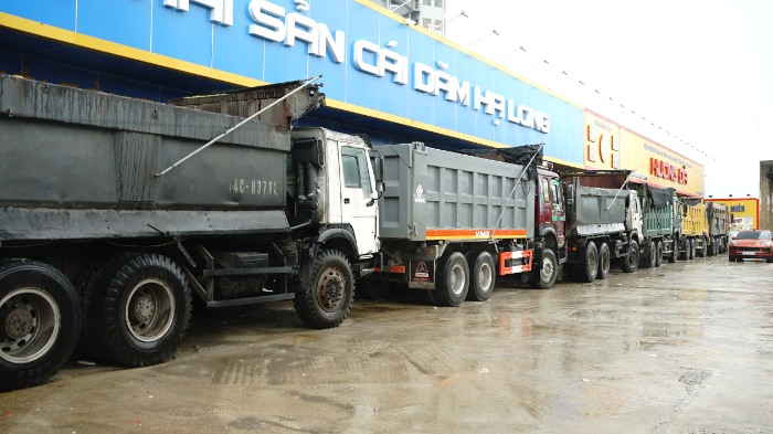 Trước giờ bão đổ bộ: Đường phố Quảng Ninh không một bóng người, gió mạnh hất văng bốt bảo vệ ra xa 6 mét - Ảnh 10. Trước giờ bão đổ bộ: Đường phố Quảng Ninh không một bóng người, gió mạnh hất văng bốt bảo vệ ra xa 6 mét - Ảnh 10.