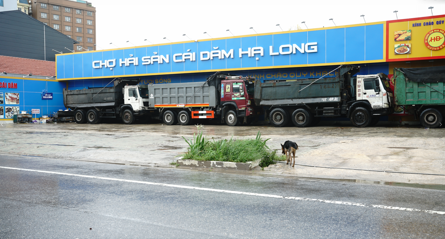 Trực tiếp: Bão số 3 đổ bộ đất liền Hưng Yên - Ninh Bình; CSGT Hà Nội khuyến cáo người dân hạn chế ra đường- Ảnh 32. Trực tiếp: Bão số 3 đổ bộ đất liền Hưng Yên - Ninh Bình; CSGT Hà Nội khuyến cáo người dân hạn chế ra đường- Ảnh 32.