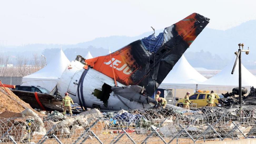 Công bố nguyên nhân sốc khiến máy bay Jeju Air bốc cháy làm 179 người thiệt mạng: Khác với các suy đoán ban đầu - Ảnh 1. Công bố nguyên nhân sốc khiến máy bay Jeju Air bốc cháy làm 179 người thiệt mạng: Khác với các suy đoán ban đầu - Ảnh 1.