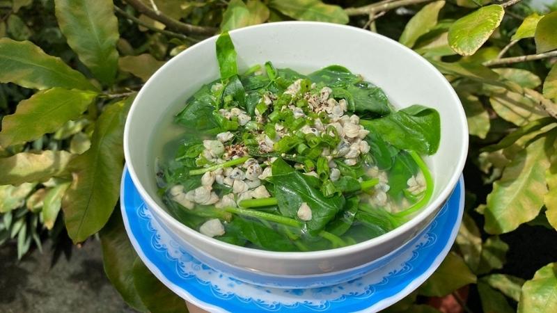 3 loại rau sạch mùa hè hầu như không "ngậm" thuốc trừ sâu, ăn thường xuyên còn bổ xương khớp vì rất giàu canxi- Ảnh 2. 3 loại rau sạch mùa hè hầu như không "ngậm" thuốc trừ sâu, ăn thường xuyên còn bổ xương khớp vì rất giàu canxi- Ảnh 2.