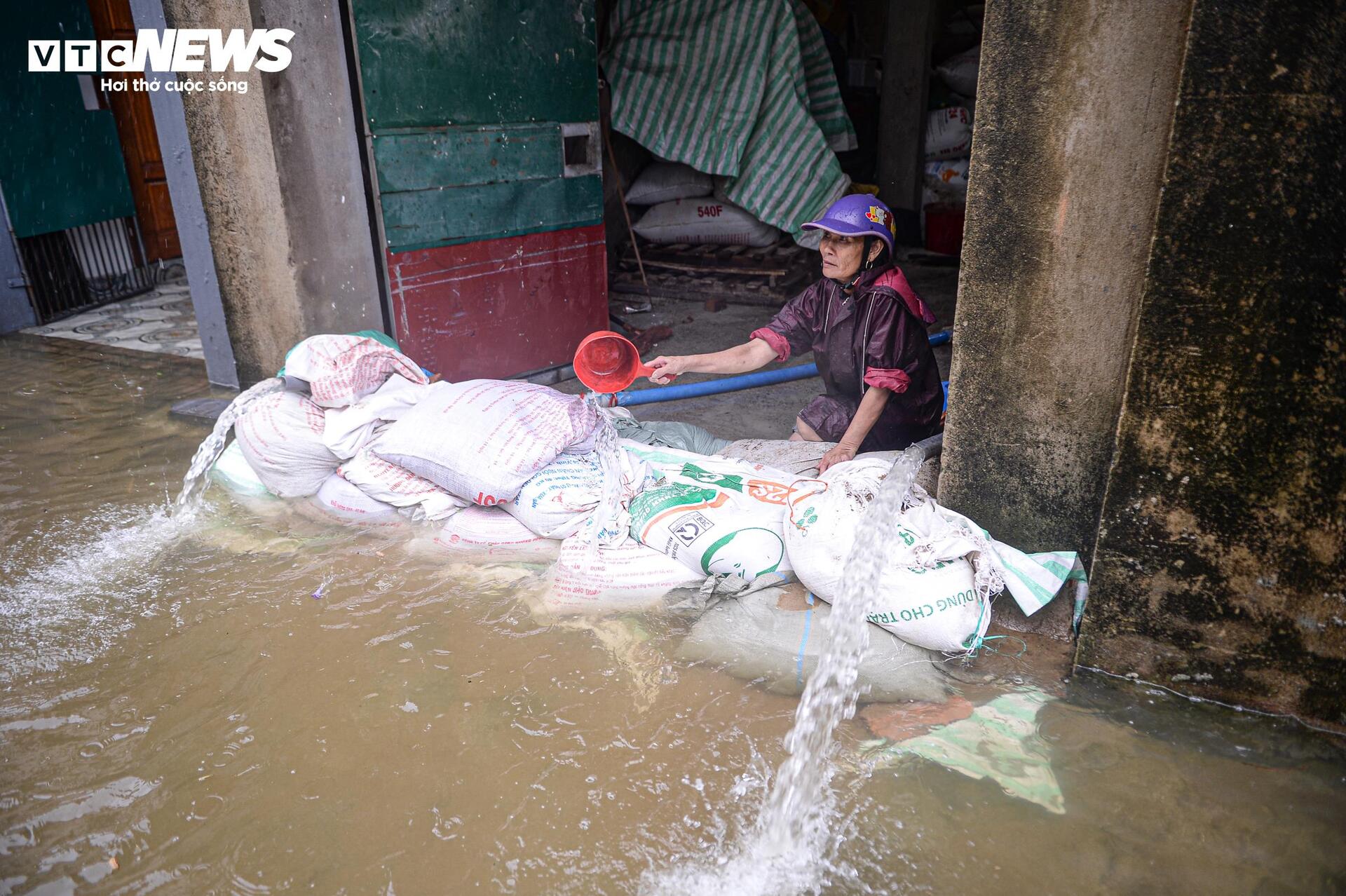 Nước dâng cao gần 1m, người Thanh Hoá vội vã sơ tán đồ đạc, đưa lợn đi tránh lũ - Ảnh 13. Nước dâng cao gần 1m, người Thanh Hoá vội vã sơ tán đồ đạc, đưa lợn đi tránh lũ - Ảnh 13.