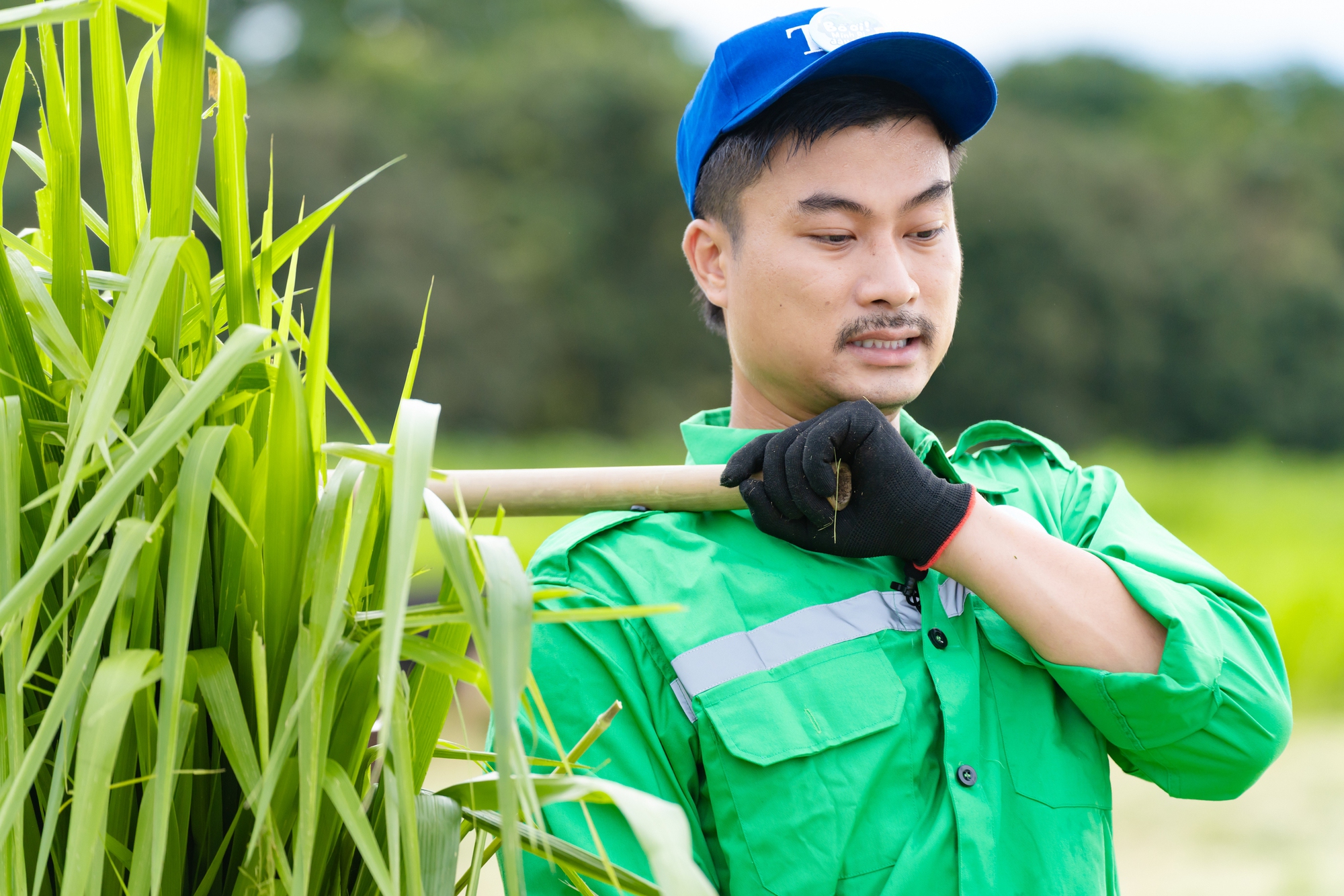 Bố ơi mình đi đâu thế? tập 10: Bị "gài" cắt 100kg cỏ, thu hoạch 20 tấn ngô, Neko Lê đòi cho bò ăn kiêng!- Ảnh 1. Bố ơi mình đi đâu thế? tập 10: Bị "gài" cắt 100kg cỏ, thu hoạch 20 tấn ngô, Neko Lê đòi cho bò ăn kiêng!- Ảnh 1.