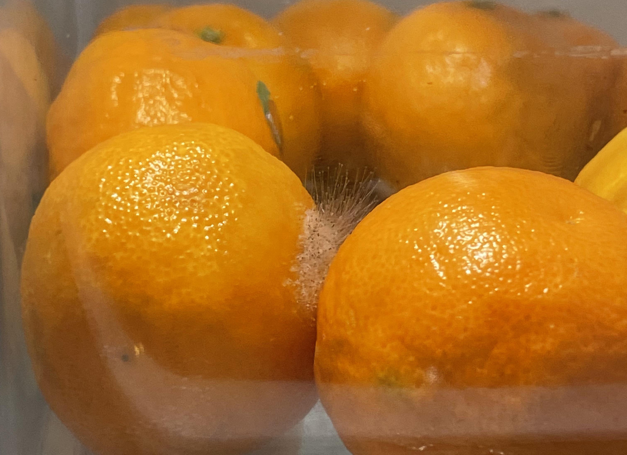 3 loại trái cây tế bào ung thư rất yêu thích, có &quot;bán rẻ như cho&quot; cũng đừng động vào dù chỉ 1 lần! - Ảnh 3.