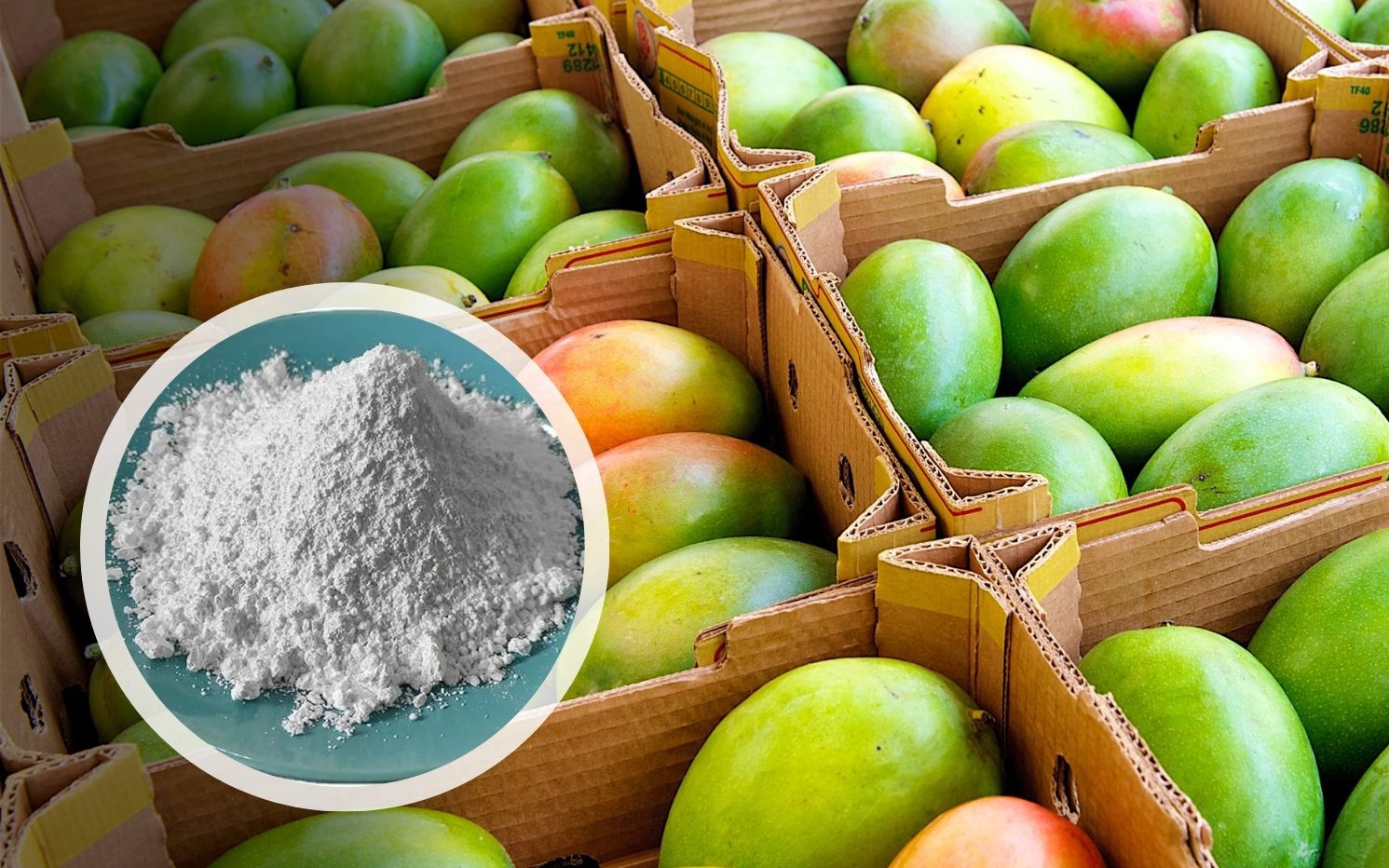 3 loại trái cây tế bào ung thư rất yêu thích, có &quot;bán rẻ như cho&quot; cũng đừng động vào dù chỉ 1 lần!