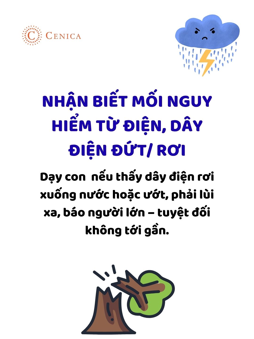 mua-bao-7-17533487893881378306316-1753350238655-175335023872365664176.jpg