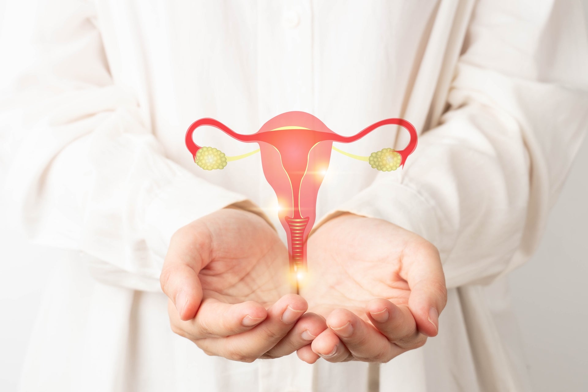 a-doctor-cups-hands-holding-illustration-of-female-reproductive-system-17534362657402062837104-1753439510632-1753439510741471424302.jpg