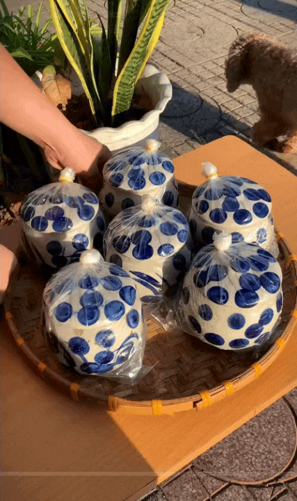 ca-ngu-1-1753057981330104944936-1753411599965-17534116003811747422448.gif