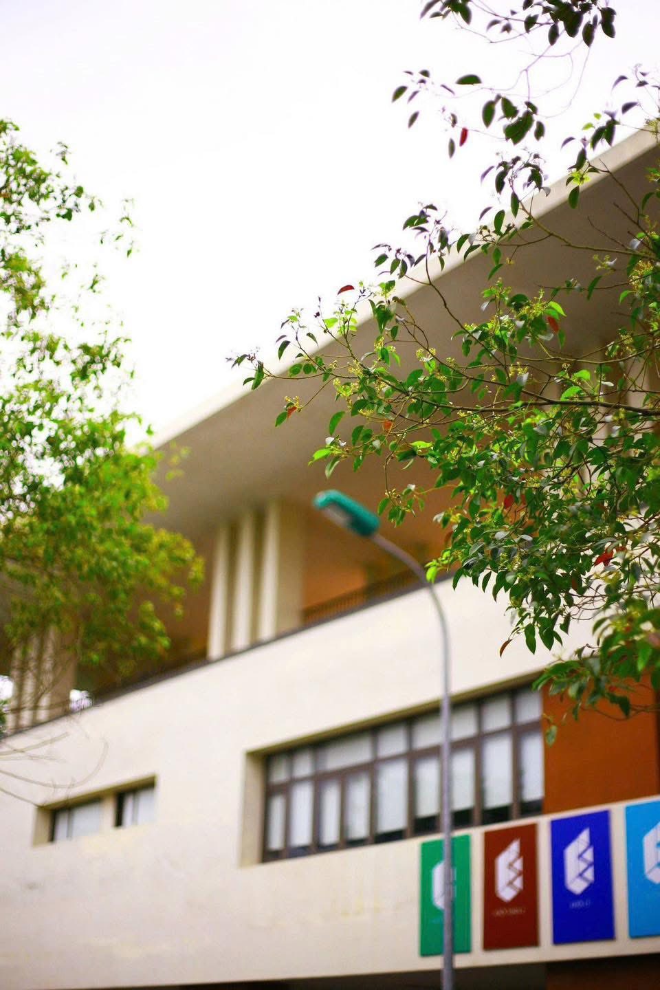 Ngôi trường 