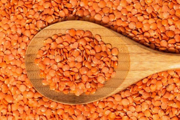 Mùa hè nóng nực, hãy thêm 1 món giàu protein vào thực đơn hàng ngày để bổ tỳ, mát cơ thể - Ảnh 2. Mùa hè nóng nực, hãy thêm 1 món giàu protein vào thực đơn hàng ngày để bổ tỳ, mát cơ thể - Ảnh 2.