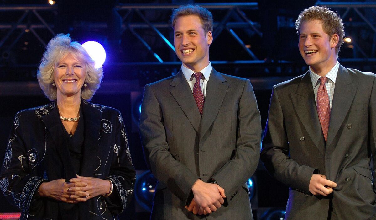 Điểm chung bất ngờ giữa Thân vương William, Vương tử Harry và Vương hậu Camilla khiến ai cũng ngỡ ngàng!- Ảnh 1. Điểm chung bất ngờ giữa Thân vương William, Vương tử Harry và Vương hậu Camilla khiến ai cũng ngỡ ngàng!- Ảnh 1.