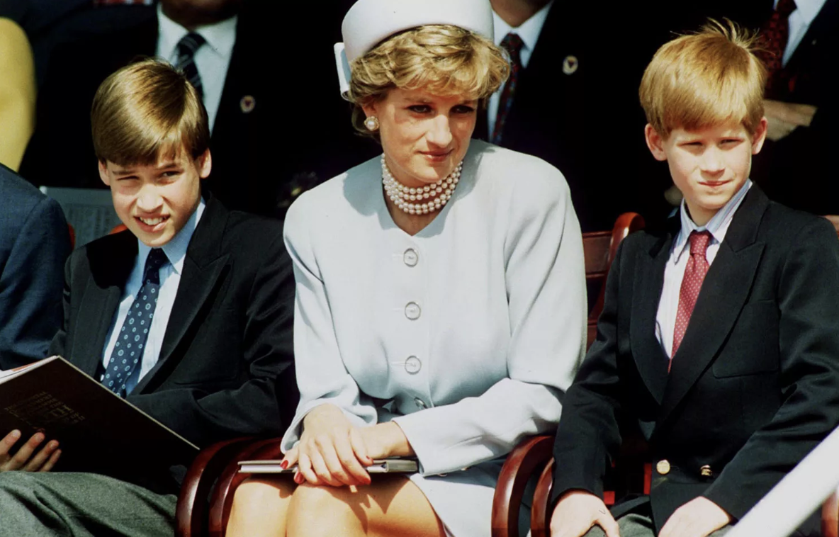 Sự thật ít ai ngờ: William và Harry không thừa kế nơi mẹ yên nghỉ!- Ảnh 5. Sự thật ít ai ngờ: William và Harry không thừa kế nơi mẹ yên nghỉ!- Ảnh 5.