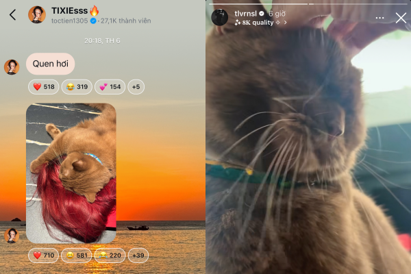 collagemmm-1753694007832-17536940079141817003264.png