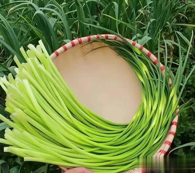 5 loại rau quả mùa hè nên tránh, ngay cả người bán cũng lắc đầu từ chối- Ảnh 2.