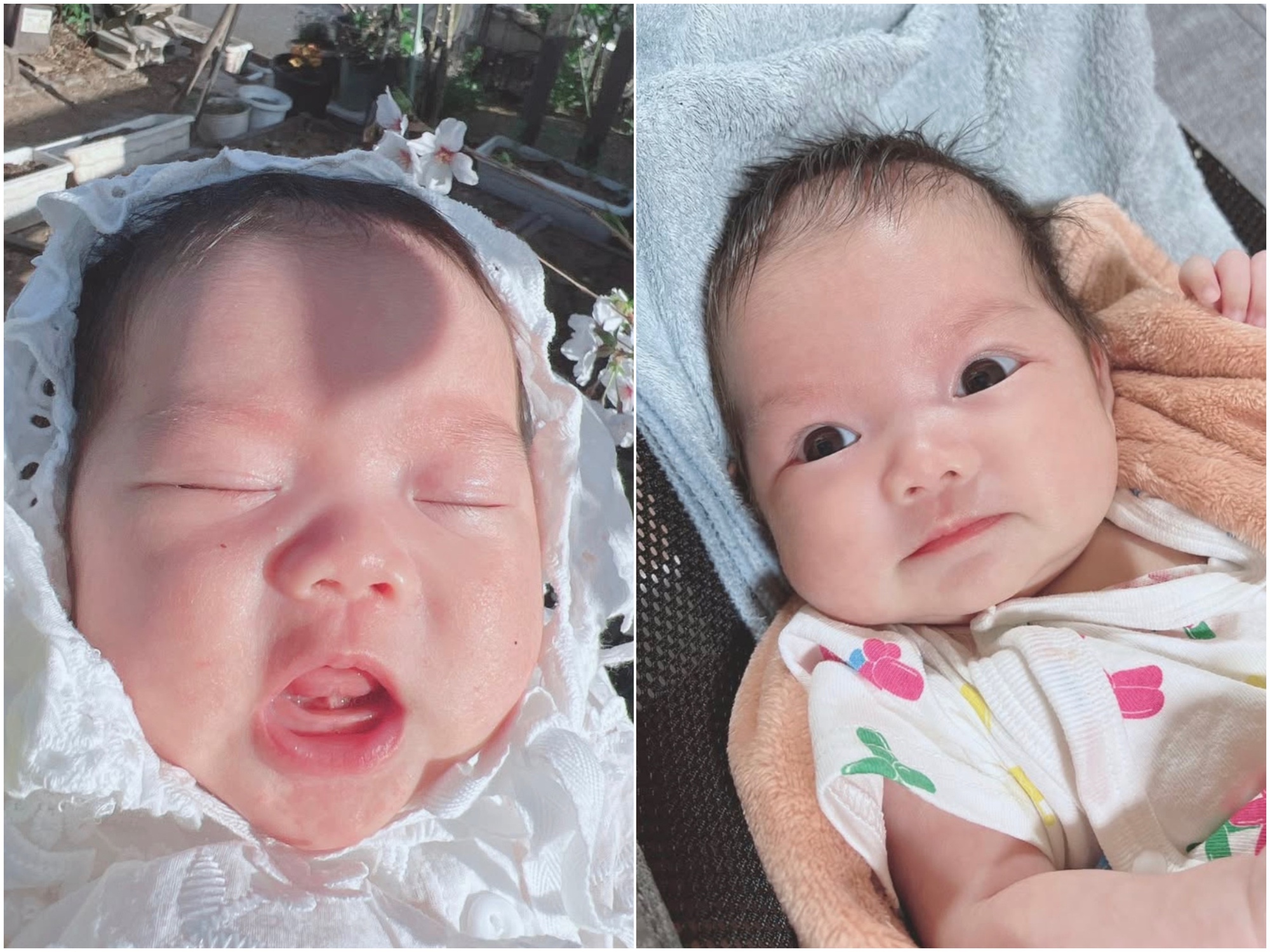Giật mình với hình ảnh gần đây của bé Sa nhà Quỳnh Trần JP: Cậu cả lớn nhanh quá mà quả đầu nấm thì nhất quyết không đổi!- Ảnh 3. Giật mình với hình ảnh gần đây của bé Sa nhà Quỳnh Trần JP: Cậu cả lớn nhanh quá mà quả đầu nấm thì nhất quyết không đổi!- Ảnh 3.