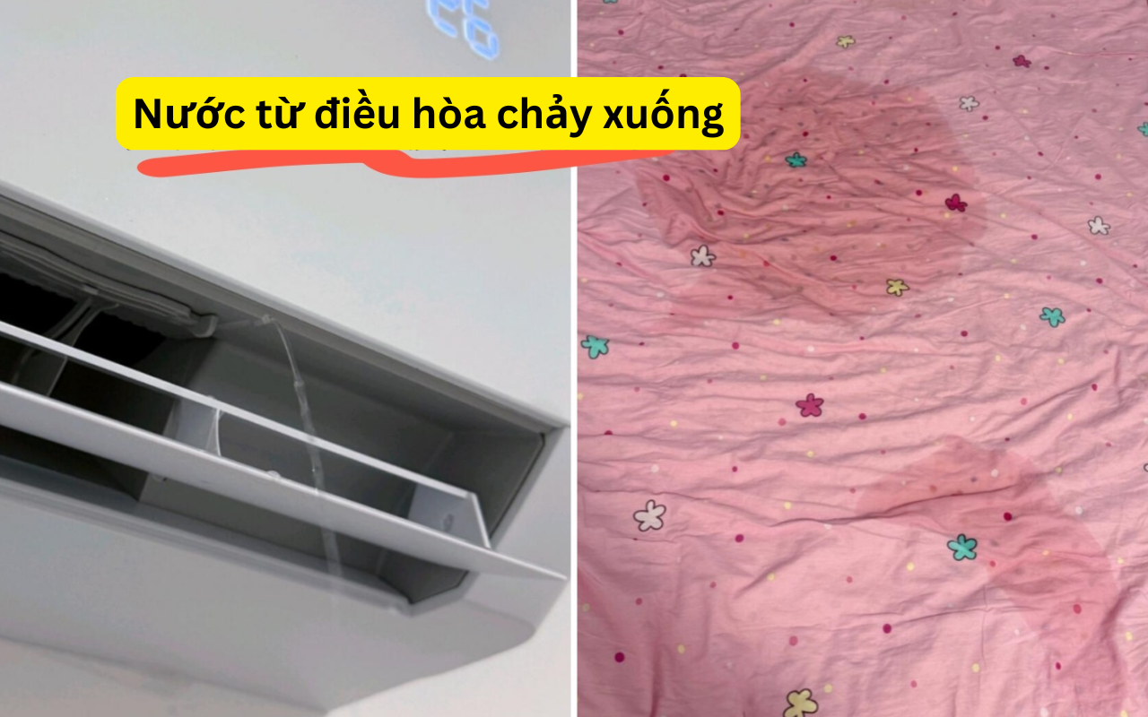 dung-mua-5-17535216349961311504127-1753772202820-17537722029372084685607.png