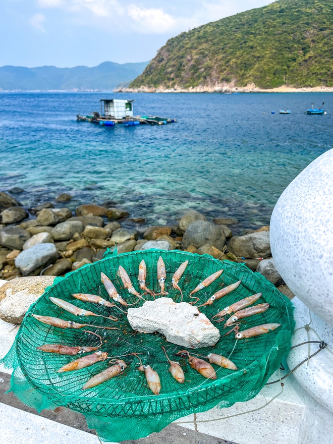 Hòn đảo không khách sạn, không resort, cách đất liền 20km, nhiều người bản địa cũng không biết tới - Ảnh 10. Hòn đảo không khách sạn, không resort, cách đất liền 20km, nhiều người bản địa cũng không biết tới - Ảnh 10.