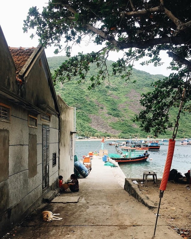 Hòn đảo không khách sạn, không resort, cách đất liền 20km, nhiều người bản địa cũng không biết tới - Ảnh 9. Hòn đảo không khách sạn, không resort, cách đất liền 20km, nhiều người bản địa cũng không biết tới - Ảnh 9.