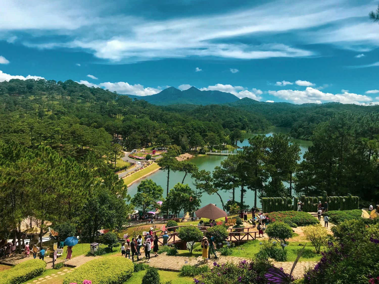4-da-lat-viet-nam-unsplash-thai-tong-1751552388289-1751552388525487600631.jpg