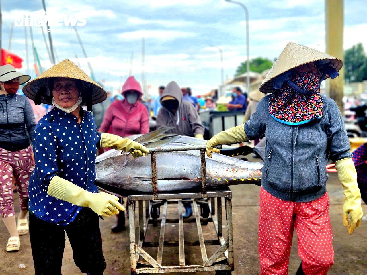 Về biển Đắk Lắk xem ngư dân câu được cá ngừ đại dương 60kg - Ảnh 10. Về biển Đắk Lắk xem ngư dân câu được cá ngừ đại dương 60kg - Ảnh 10.