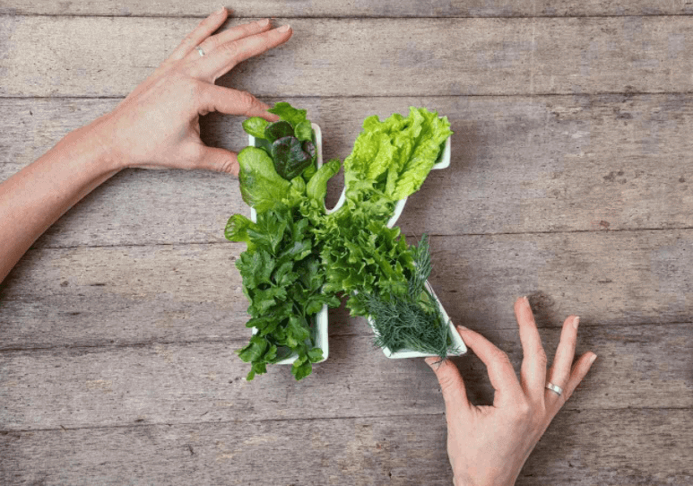 Lý do vitamin K có tác dụng chống lão hóa và dấu hiệu cho thấy bạn đang bị thiếu vitamin này: 2 độ tuổi đặc biệt cần bổ sung- Ảnh 2.