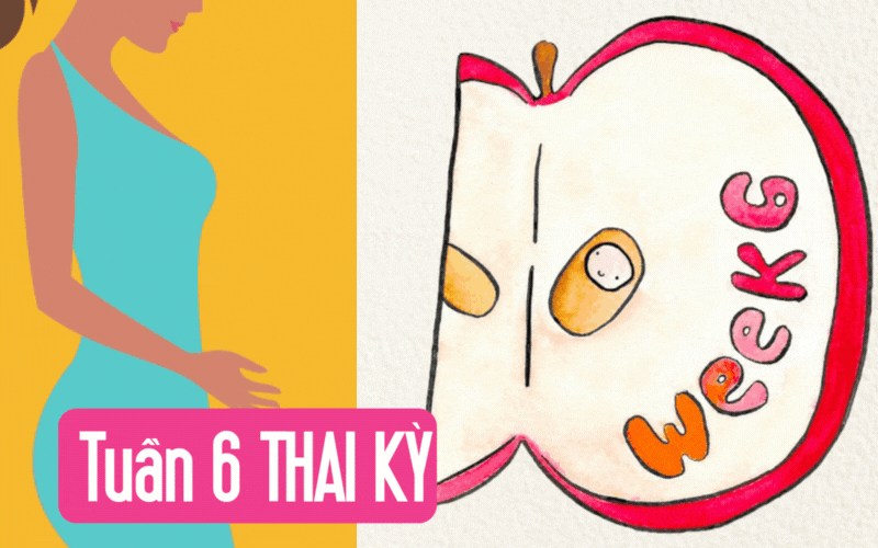 Tuần thai thứ 6: Tim thai “rộn ràng”, túi phôi hiện rõ trên hình ảnh siêu âm