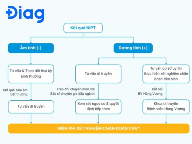 X&eacute;t nghiệm NIPT: Tầm so&aacute;t nguy cơ Down, Patau, Edwards ở thai nhi- Ảnh 3.