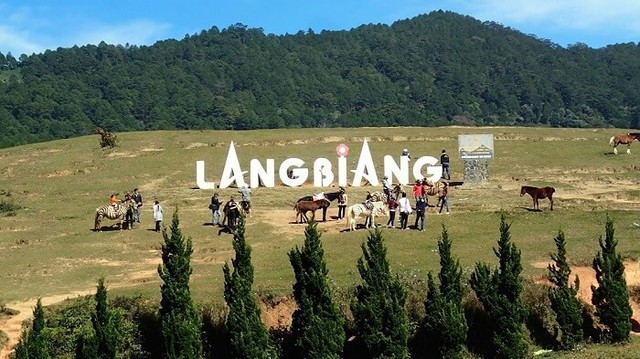 Tỉnh lớn nhất Việt Nam sau sáp nhập: Vừa có rừng, vừa có biên giới, vừa có đường ven biển như nước ngoài - Ảnh 12. Tỉnh lớn nhất Việt Nam sau sáp nhập: Vừa có rừng, vừa có biên giới, vừa có đường ven biển như nước ngoài - Ảnh 12.