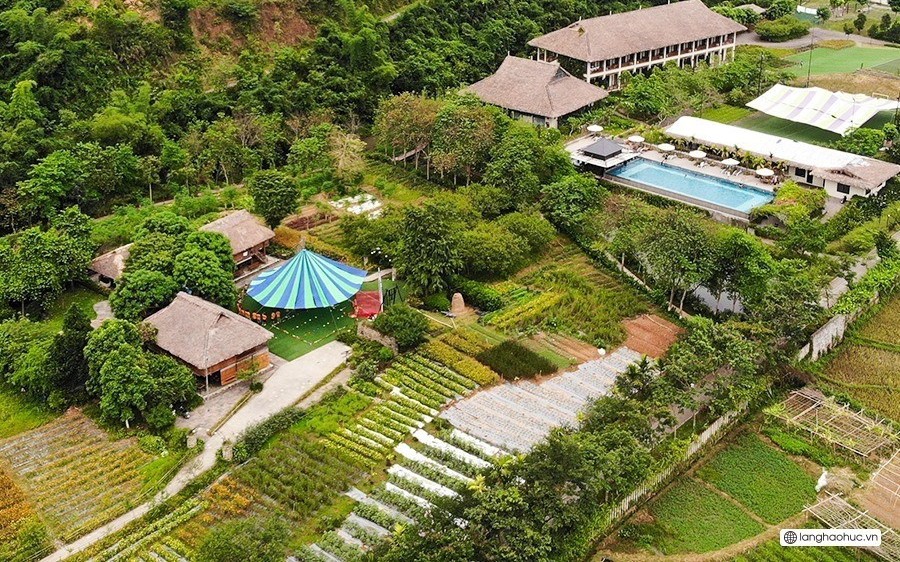 Vụ trẻ đi trại hè bị bắt nạt, 8 ngày không dám đi vệ sinh vì bẩn, Làng Háo Hức khẳng định: Những trải nghiệm này giúp các con thêm trân trọng và biết ơn