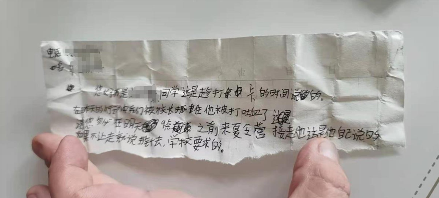 Bắt hiệu trưởng một trại hè, giấy phép là công ty du lịch không có hoạt động giáo dục và đào tạo - Ảnh 2. Bắt hiệu trưởng một trại hè, giấy phép là công ty du lịch không có hoạt động giáo dục và đào tạo - Ảnh 2.