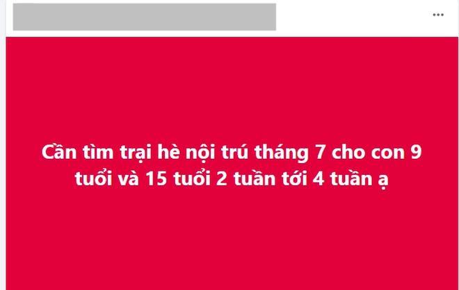 Toàn cảnh dịch vụ trại hè 2025: Phụ huynh chi chục triệu không tiếc, các chủ trại hè tất bật- Ảnh 7. Toàn cảnh dịch vụ trại hè 2025: Phụ huynh chi chục triệu không tiếc, các chủ trại hè tất bật- Ảnh 7.