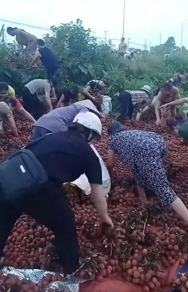 Vụ lật xe mất 4 tấn vải: Chủ hàng nhận được gần 10 triệu đồng từ nhiều số tài khoản lạ - Ảnh 2. Vụ lật xe mất 4 tấn vải: Chủ hàng nhận được gần 10 triệu đồng từ nhiều số tài khoản lạ - Ảnh 2.