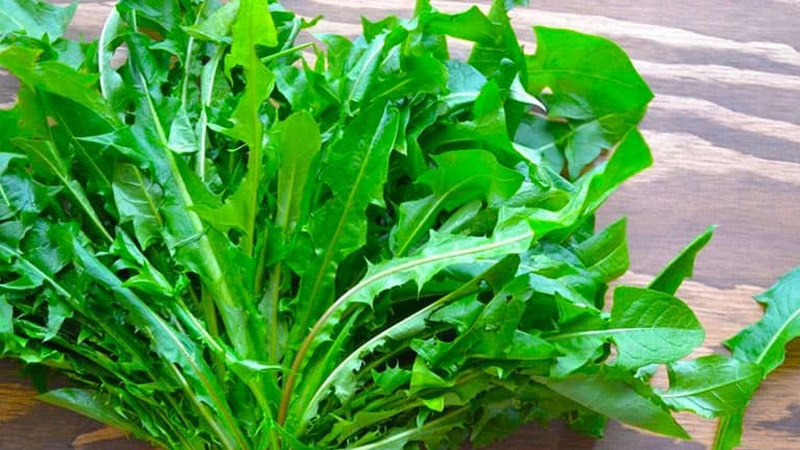 5 món ăn 'nuôi' hệ tiêu hóa khỏe như uống probiotic!- Ảnh 1. 5 món ăn 'nuôi' hệ tiêu hóa khỏe như uống probiotic!- Ảnh 1.