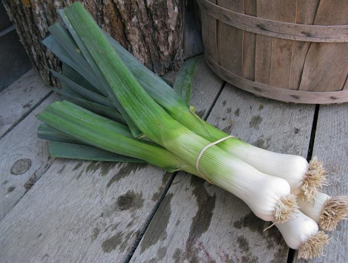 5 món ăn 'nuôi' hệ tiêu hóa khỏe như uống probiotic!- Ảnh 3. 5 món ăn 'nuôi' hệ tiêu hóa khỏe như uống probiotic!- Ảnh 3.