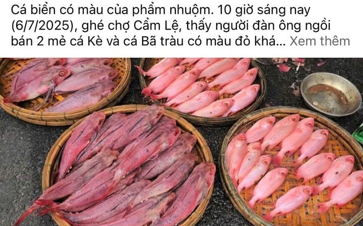 Người dân Đà Nẵng nghi ngờ cá bị nhuộm phẩm, tiểu thương nói rửa bằng nước ngọt