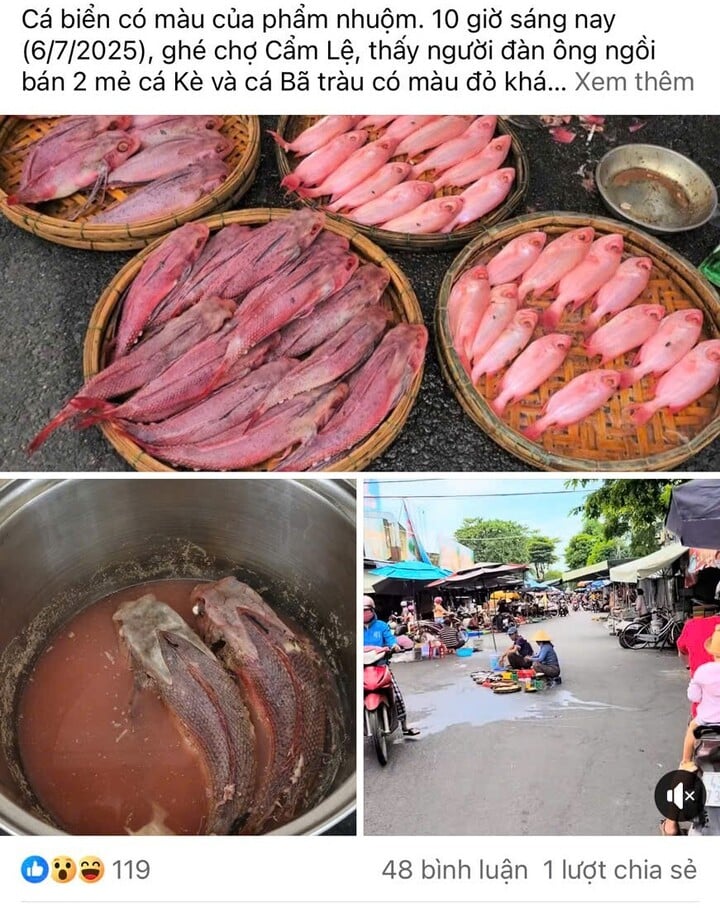 Người dân Đà Nẵng nghi ngờ cá bị nhuộm phẩm, tiểu thương nói rửa bằng nước ngọt - Ảnh 1. Người dân Đà Nẵng nghi ngờ cá bị nhuộm phẩm, tiểu thương nói rửa bằng nước ngọt - Ảnh 1.