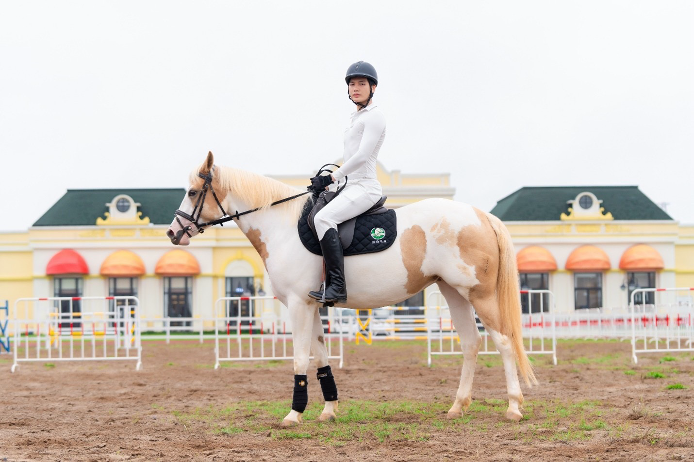 Sắp diễn ra giải cưỡi ngựa chuyên nghiệp tiên phong tại Việt Nam – Vinpearl Equestrian Cup 2025 - Ảnh 2.