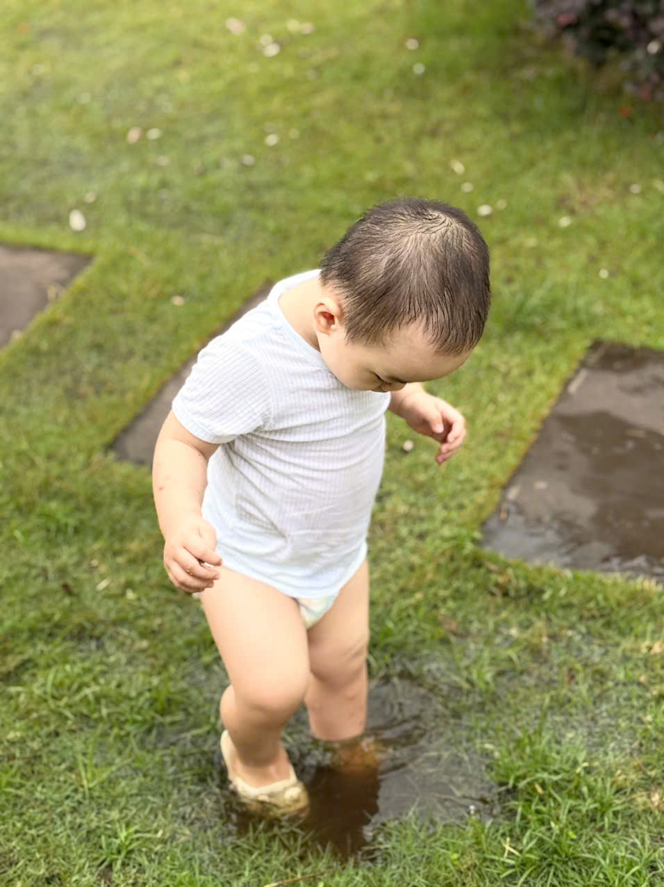 Check quán Check quán