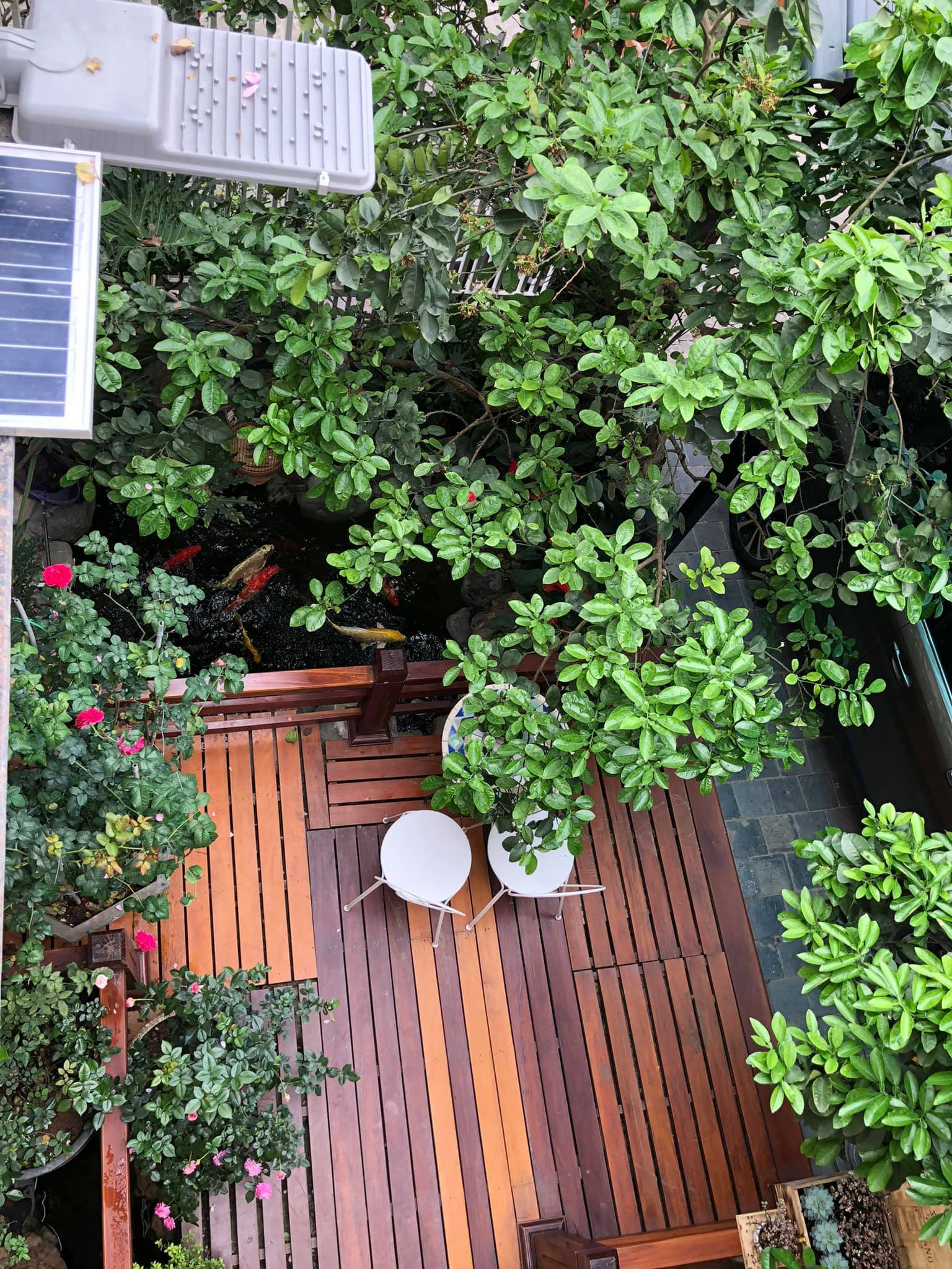 2 không gian sống đối lập đáng mơ ước của NSND nổi tiếng sắp làm đám cưới ở tuổi U60- Ảnh 16. 2 không gian sống đối lập đáng mơ ước của NSND nổi tiếng sắp làm đám cưới ở tuổi U60- Ảnh 16.