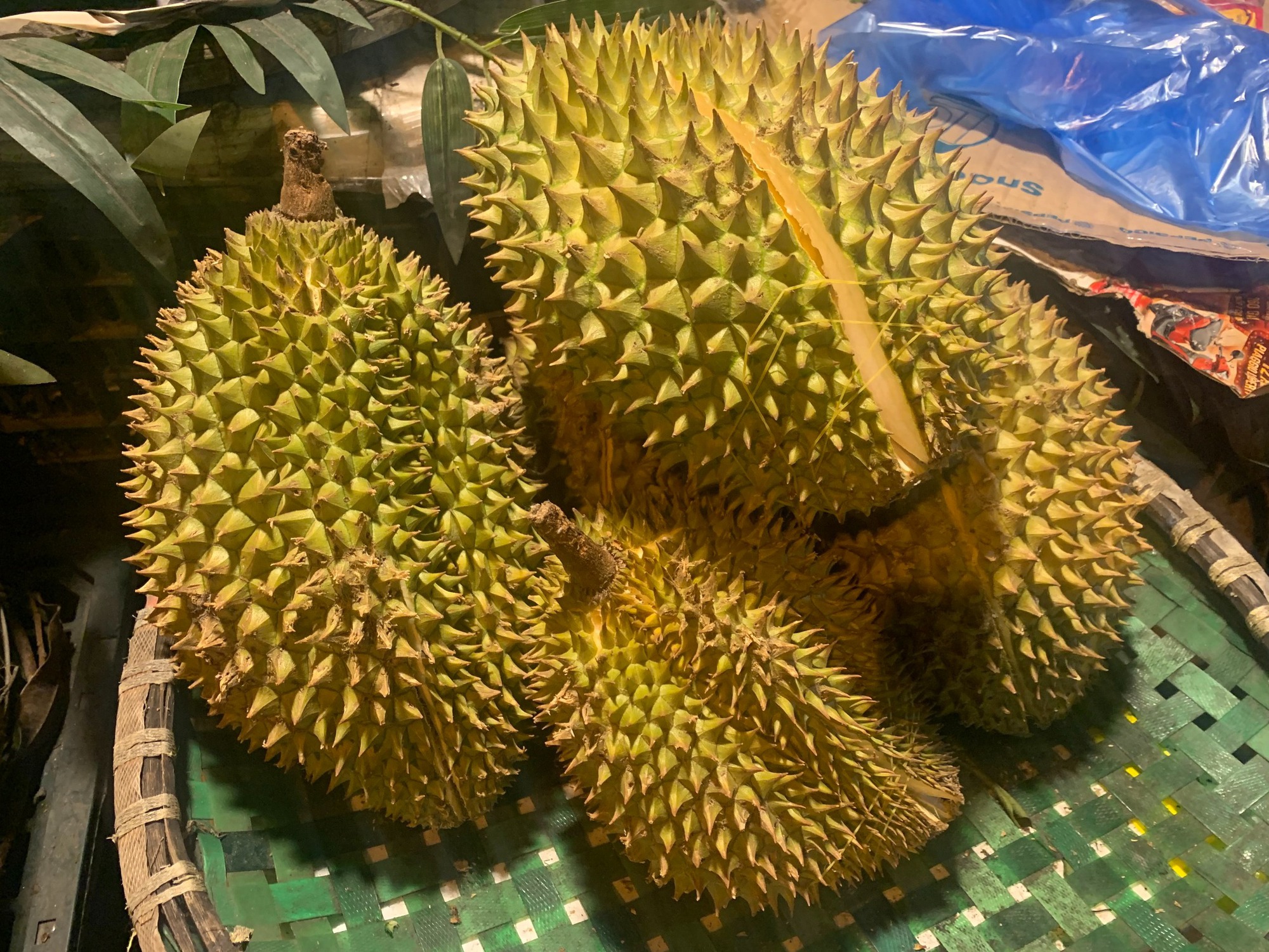 sau-rieng-xuat-khau-171443530684-1751946471602194535702-1751948267811-1751948268449503248734-1752021960889-1752021961003368421627.jpg