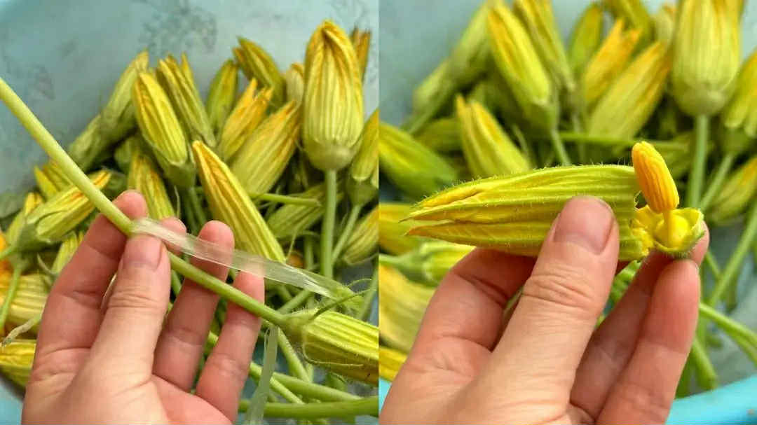 Vào tháng Tám nếu thấy loại &quot;rau này&quot; thì mua về nấu ngay món ngon với đậu phụ, hương vị ngon bất ngờ - Ảnh 5.