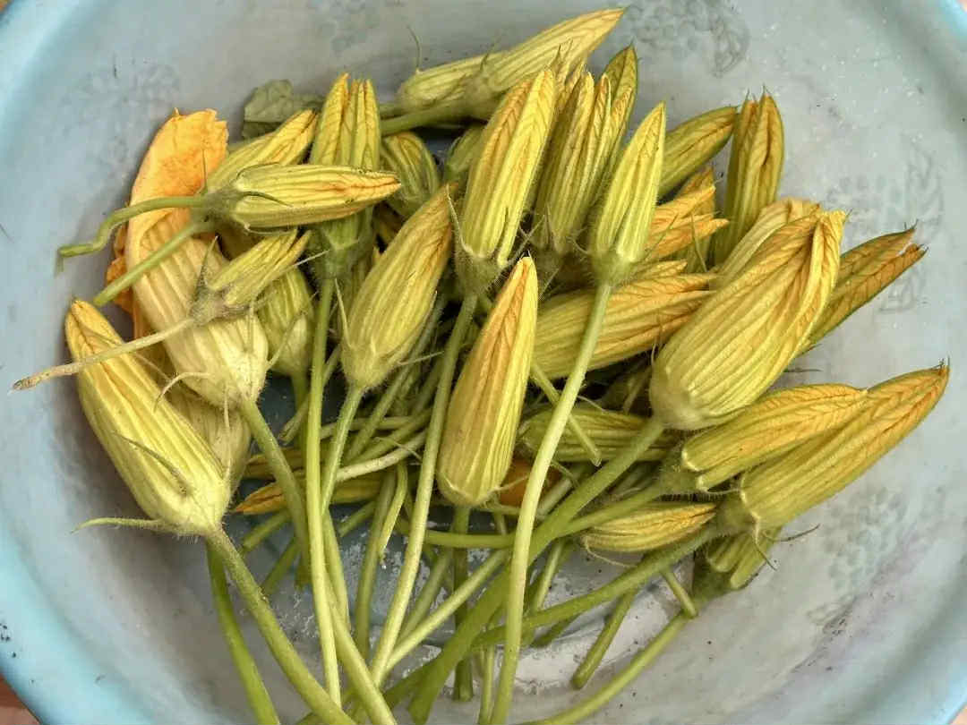 Vào tháng Tám nếu thấy loại &quot;rau này&quot; thì mua về nấu ngay món ngon với đậu phụ, hương vị ngon bất ngờ - Ảnh 2.
