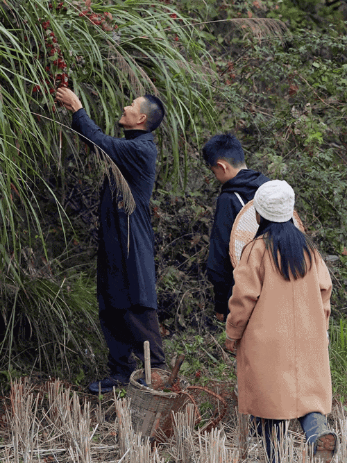 960270d065574c008f0475709c988d41tplv-tt-origin-webgif-17548288531691745263704-1754829138631-1754829138921630198890-1754830104069-17548301042581107113325.gif