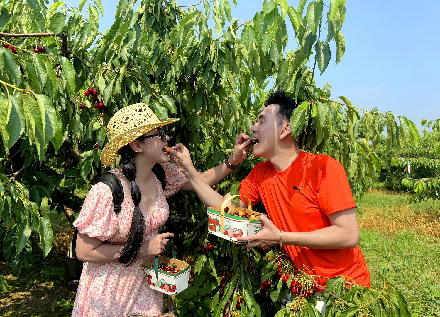 Việt Trinh đi du lịch 16 ngày cùng nam ca sĩ ở nhà hơn 2.000 cây vàng, 2 lần đổ vỡ hôn nhân - Ảnh 2.