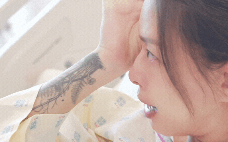 mau-xanh-la-mua-thu-gam-mau-phong-thuy-12-con-giap-6-17548047614697281219.gif