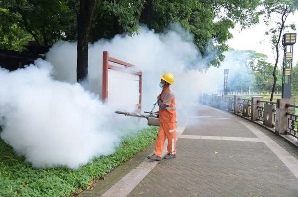 Chikungunya bùng phát ở nhiều nước, Bộ Y tế đưa ra khuyến cáo cho người dân phòng dịch Chikungunya- Ảnh 2.