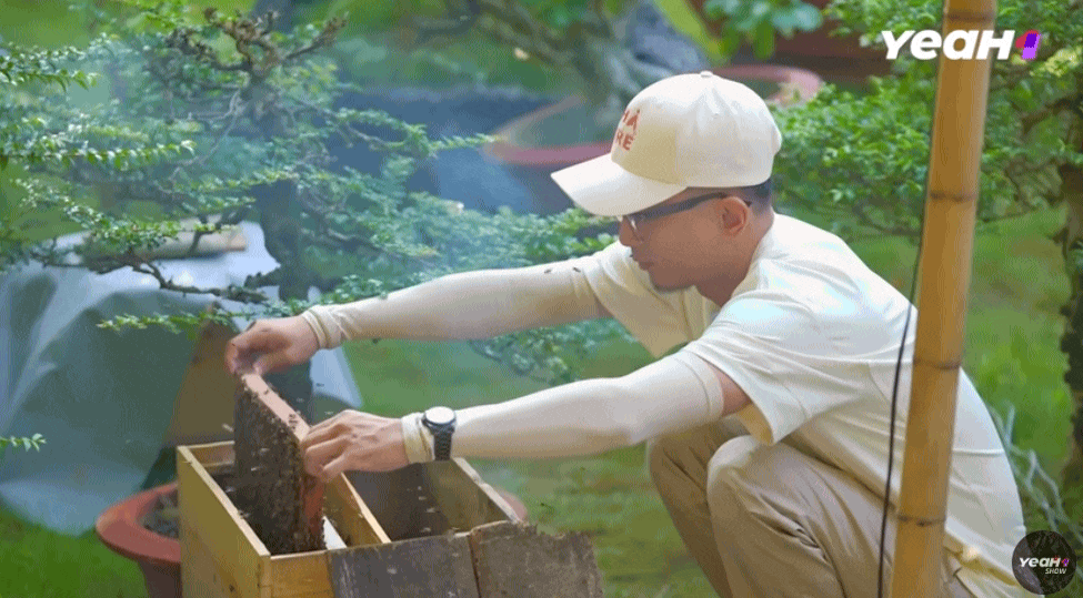 'Gia đình Haha' Tập 9: Trải nghiệm khám phá nghề nuôi ong, nhăn nhó tận hưởng những 'nụ hôn của ong'- Ảnh 16.